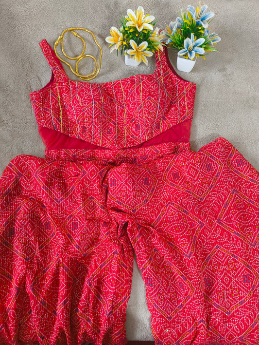 Bollywood inspired Red Colour Beautiful Printed Dress with sequence Hand work all over with mash cut look.